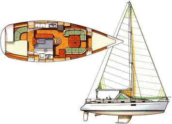 Oceanis 36cc Grundriss