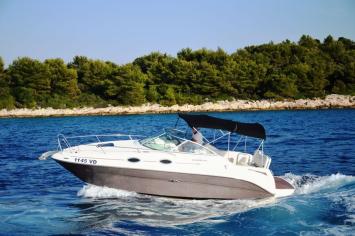 Sea Ray 255 Sundancer Top Bild