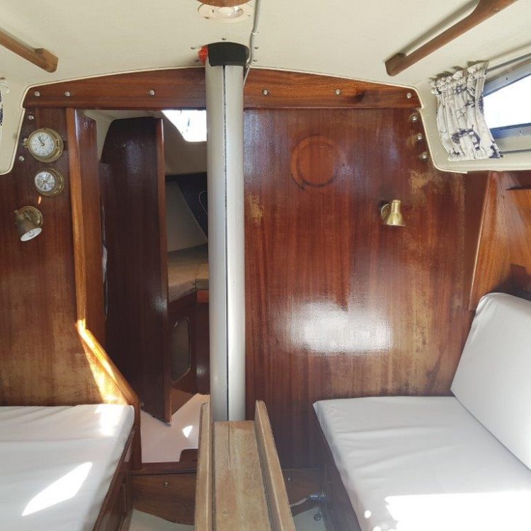 Albin Ballad 31 Innenansicht