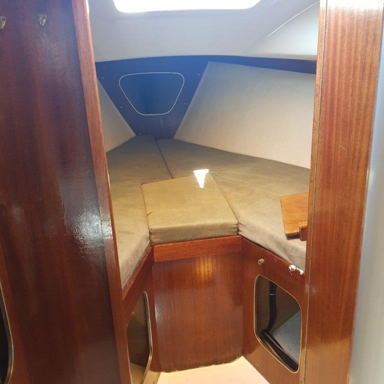 Albin Ballad 31 Innenansicht