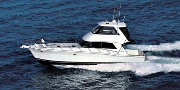 Riviera 48 Top Bild
