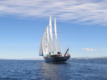 Barba-6cab-front.jpga Auenansicht