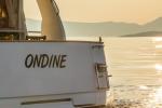 Yachtcharter Greenline33 Ondine 8