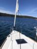 Yachtcharter SunOdyssey349 Nara 5