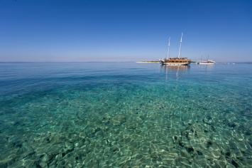 Lastavica-4 Innenansicht