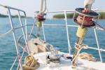 Yachtcharter Dolphin50 Amica 14