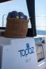 Yachtcharter Lagoon560 52cab Topaz 9