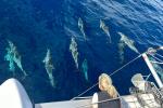 Yachtcharter Lagoon42 Lorelei 28