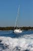 Yachtcharter Elan40Impression Black Panther 3