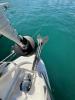 Yachtcharter BavariaC38 The Cat 4