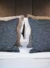 Yachtcharter Sunreef50 Sweet Dreams 27