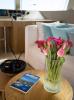 Yachtcharter Sunreef50 Zara 21
