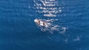 Yachtcharter Parss Parss 3