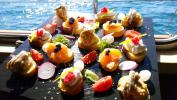 Yachtcharter Nautilus Nautilus 22