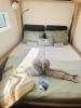 Yachtcharter Lagoon51 6cab Eldamar 6