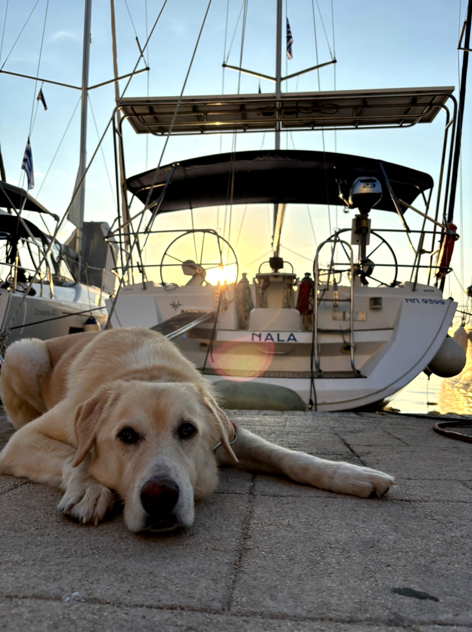 Yachtcharter SunOdyssey45 Nala