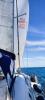 Yachtcharter Oceanis46 4cab Zoe 3