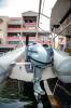 Yachtcharter Lagoon42 Casta Diva 10