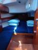 Yachtcharter Bavaria41 Dorothea 8