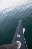 Yachtcharter ElanE6 Sailing Grace 5