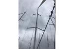 Yachtcharter custom/36307/file1_8_pic11