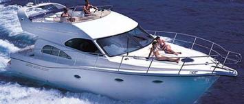 rodman41_pic0 Top Bild