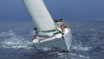 Elan 295 Auenansicht