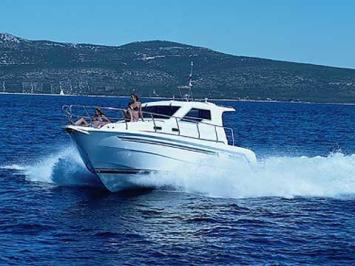 vector_950-pic0 Top Bild