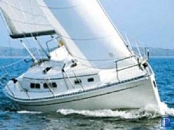 Hanse 311 Auenansicht