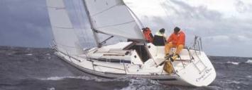 Hanse 331 Top Bild