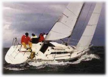 Hanse 291 Top Bild