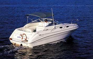 Sea Ray 240 sundancer Auenansicht