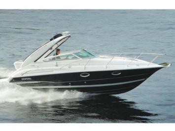 Bayliner 265 Top Bild