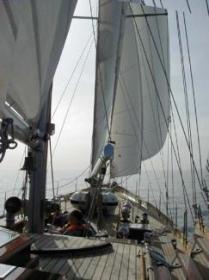 Schoner Preussischer Adler Auenansicht