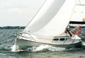 delphia_sportina_29-pic1 Top Bild