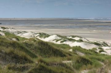 Charter Ijsselmeer: Dnen, Watt, Strand - wie hier auf der Nordsee-Insel Vlieland
