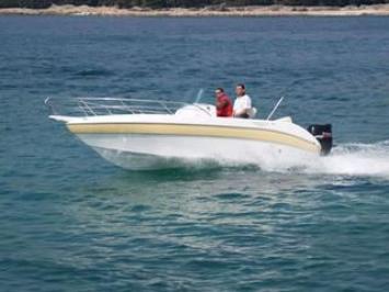 Aquamar Phenicusa Top Bild