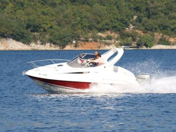 Salpa Laver 20.5 Top Bild