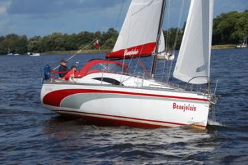Hornet 29 Top Bild