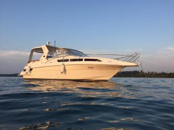 Polar 290 Monaco Top Bild