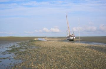 Charter Deutsche Nordsee: (Absichtliches) Trockenfallen ist ein einmaliges Erlebnis