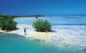 Yachtcharter Kuba: Jardines de la Reina, Paradies f?r Schnorchler und Angler